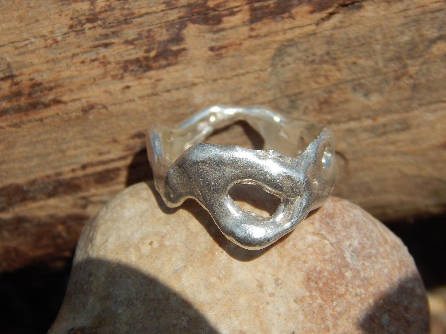 ANILLO ORGÁNICO