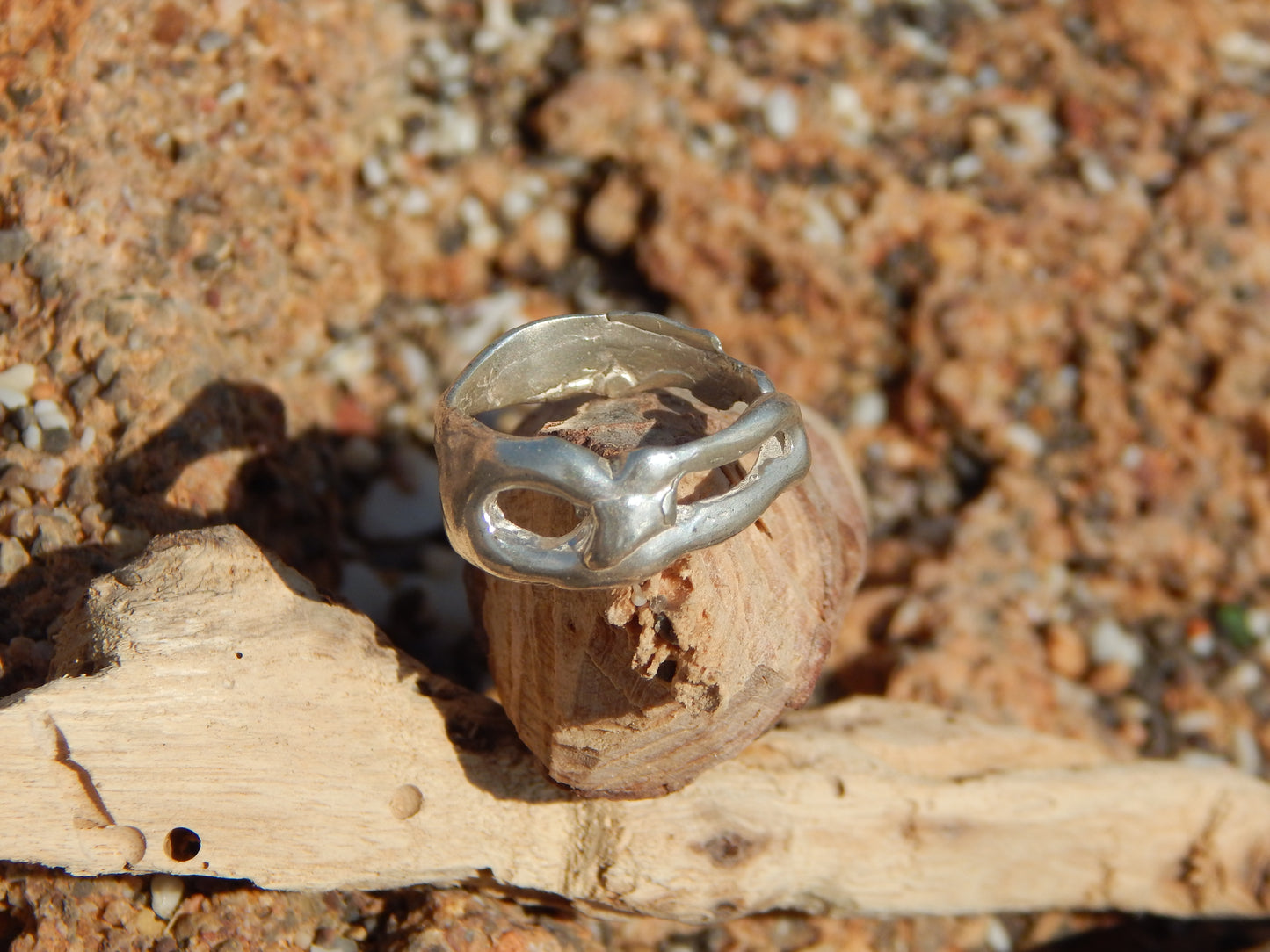 ANILLO ORGÁNICO