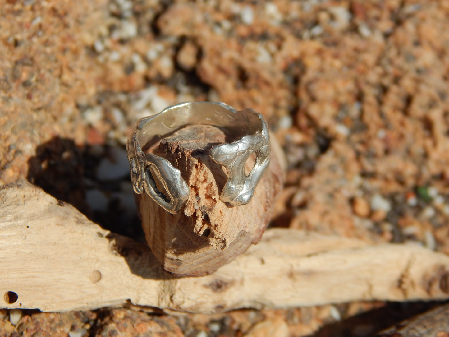 ANILLO ORGÁNICO