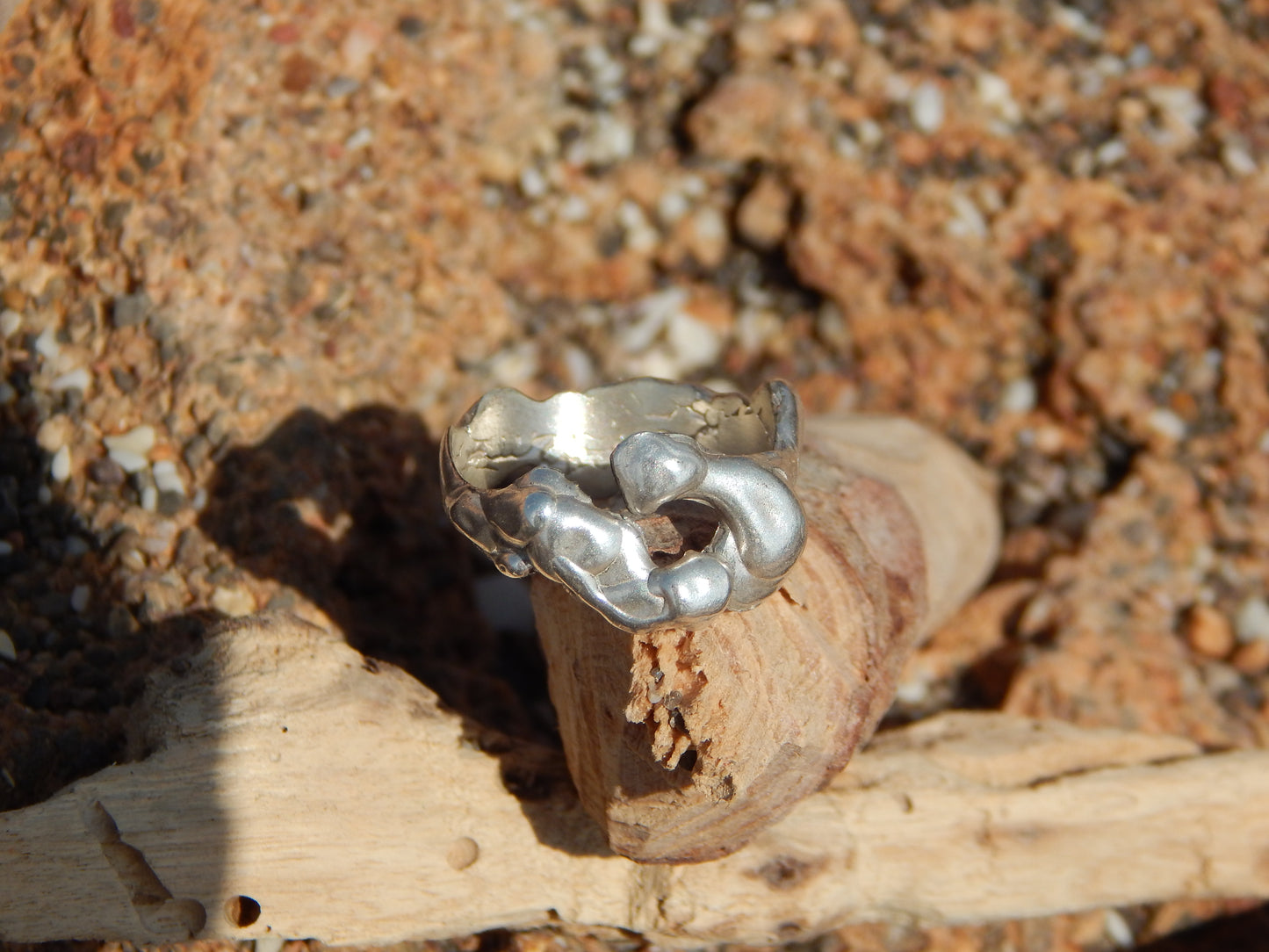 ANILLO ORGÁNICO