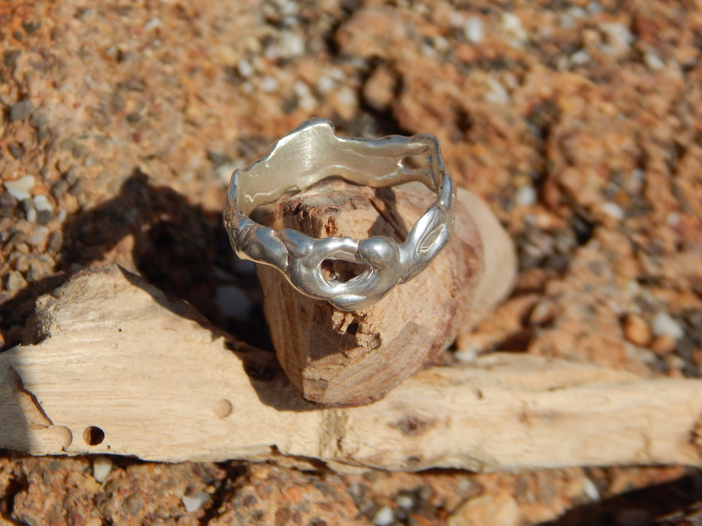 ANILLO ORGÁNICO