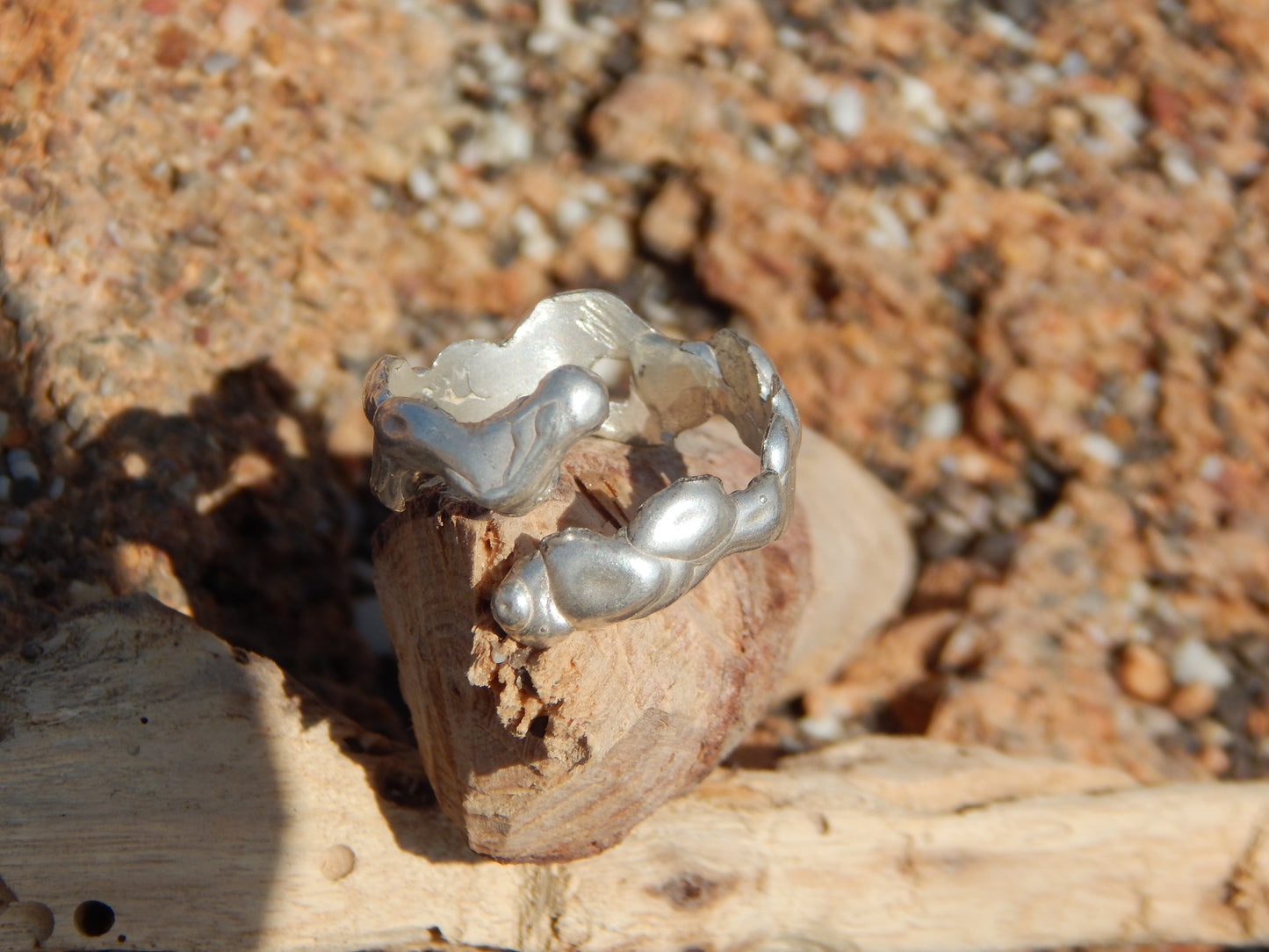 ANILLO ORGÁNICO