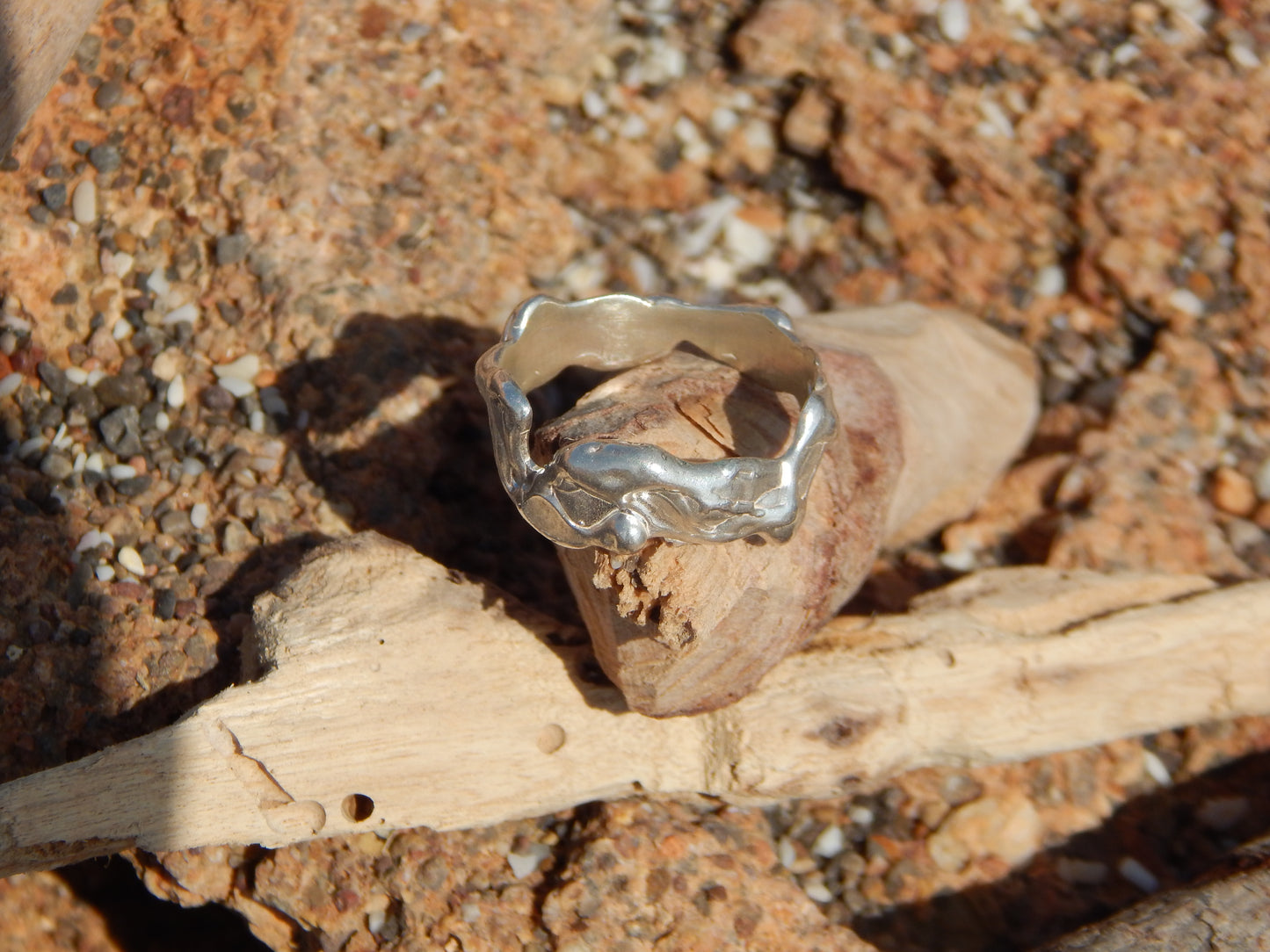 ANILLO ORGÁNICO