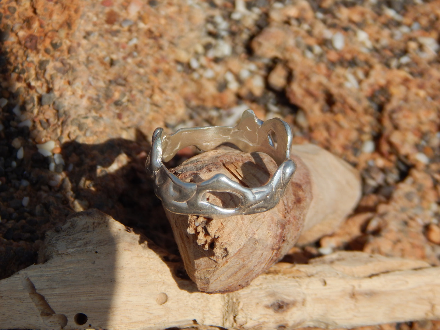 ANILLO ORGÁNICO